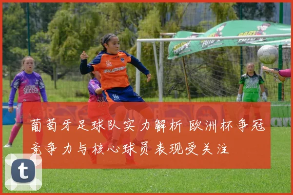 葡萄牙足球队实力解析 欧洲杯争冠竞争力与核心球员表现受关注