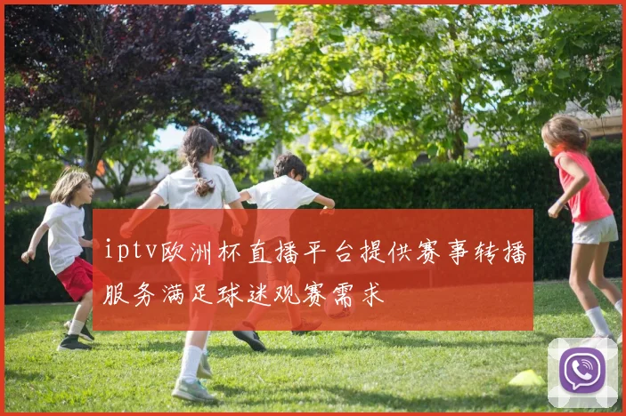 iptv欧洲杯直播平台提供赛事转播服务满足球迷观赛需求