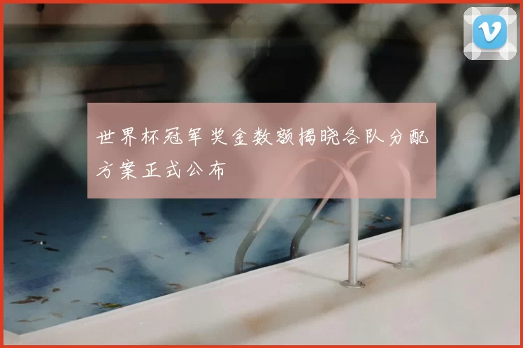 世界杯冠军奖金数额揭晓各队分配方案正式公布