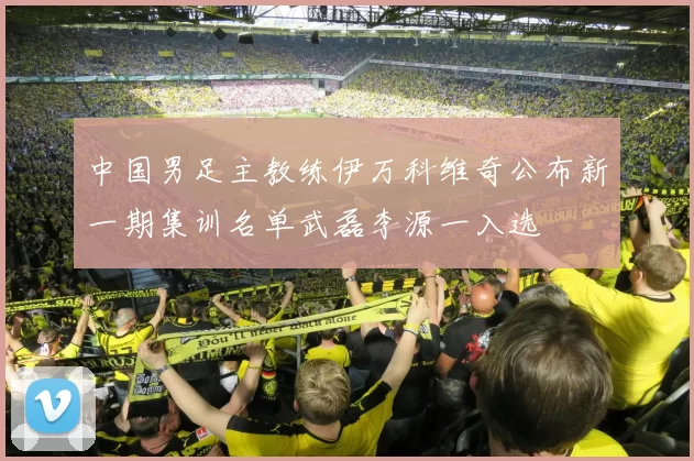 中国男足主教练伊万科维奇公布新一期集训名单武磊李源一入选