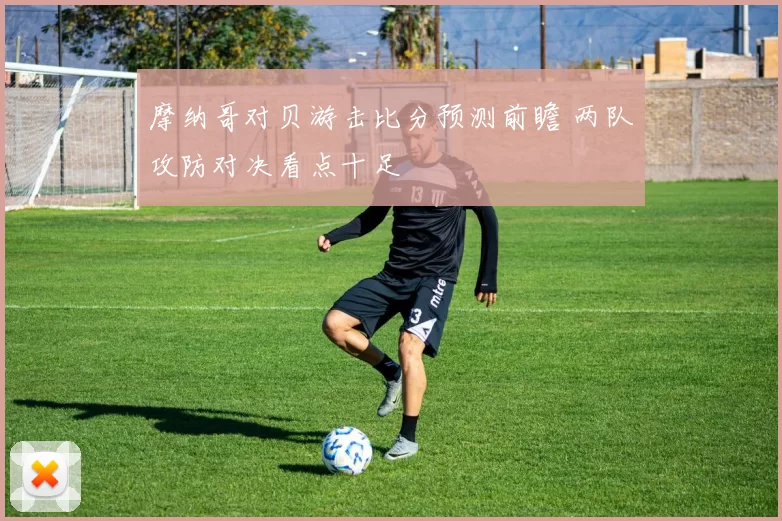 摩纳哥对贝游击比分预测前瞻 两队攻防对决看点十足