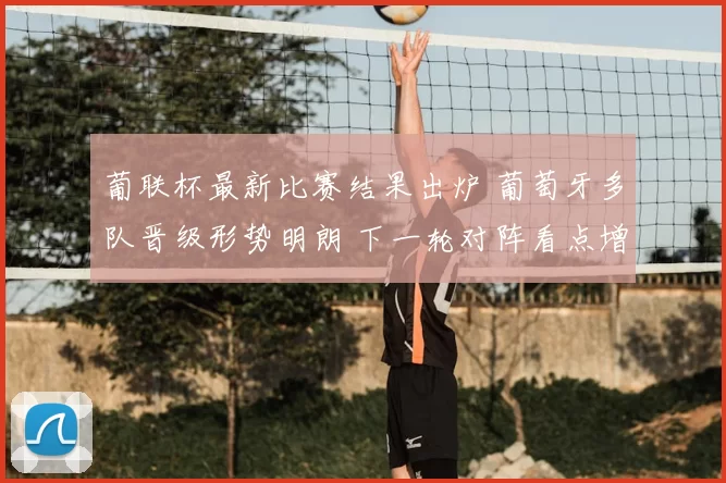 葡联杯最新比赛结果出炉 葡萄牙多队晋级形势明朗 下一轮对阵看点增加